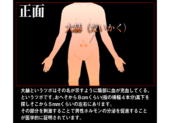 早漏 中折れ 性欲減退に 絶倫秘孔丸 絶倫秘孔丸で早漏を防止 改善 治療